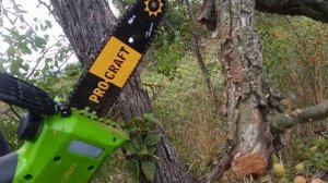 ProCraft PKA20 обзор