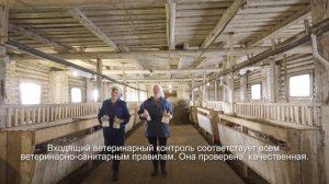 Пивная дробина для кормления скота от Российского производителя