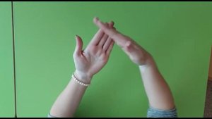 Пальчиковая гимнастика "ЖИЛИ-БЫЛИ ГНОМИКИ"