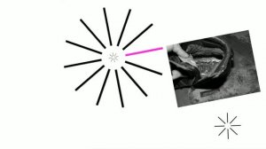 С чем носить зимние ботинки