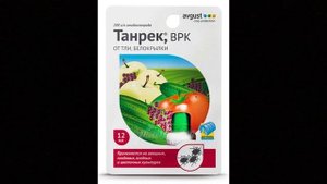 Как я спасала САМШИТ. Мои САМШИТОВЫЕ ТОПИАРИИ