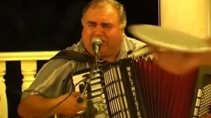 Аккордеон  красавчик