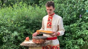 Спилы дерева липа.