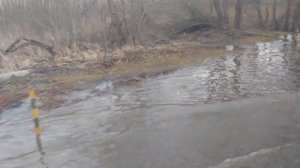 Затопленная дорога на пути в Прегольский в Калининграде