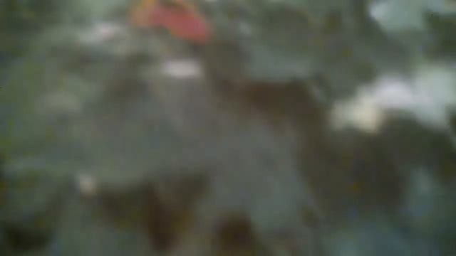 Весёлые прилипалы 3 в дикси наклейки 👍👍👍 смотреть онлайн