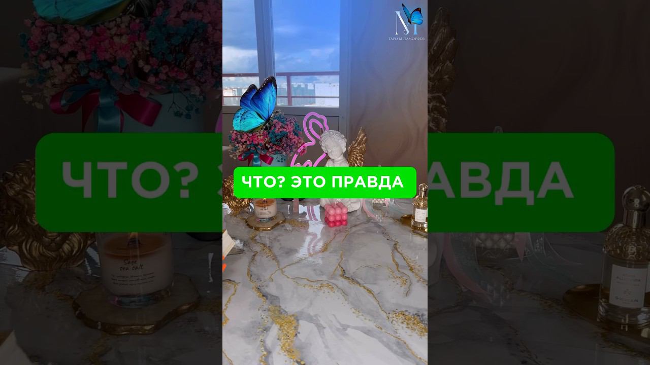 #тарометаморфоз#таромари#tarotreader#tarotcards #tarotonline #tarotreading #tarotamor#tarotscope
