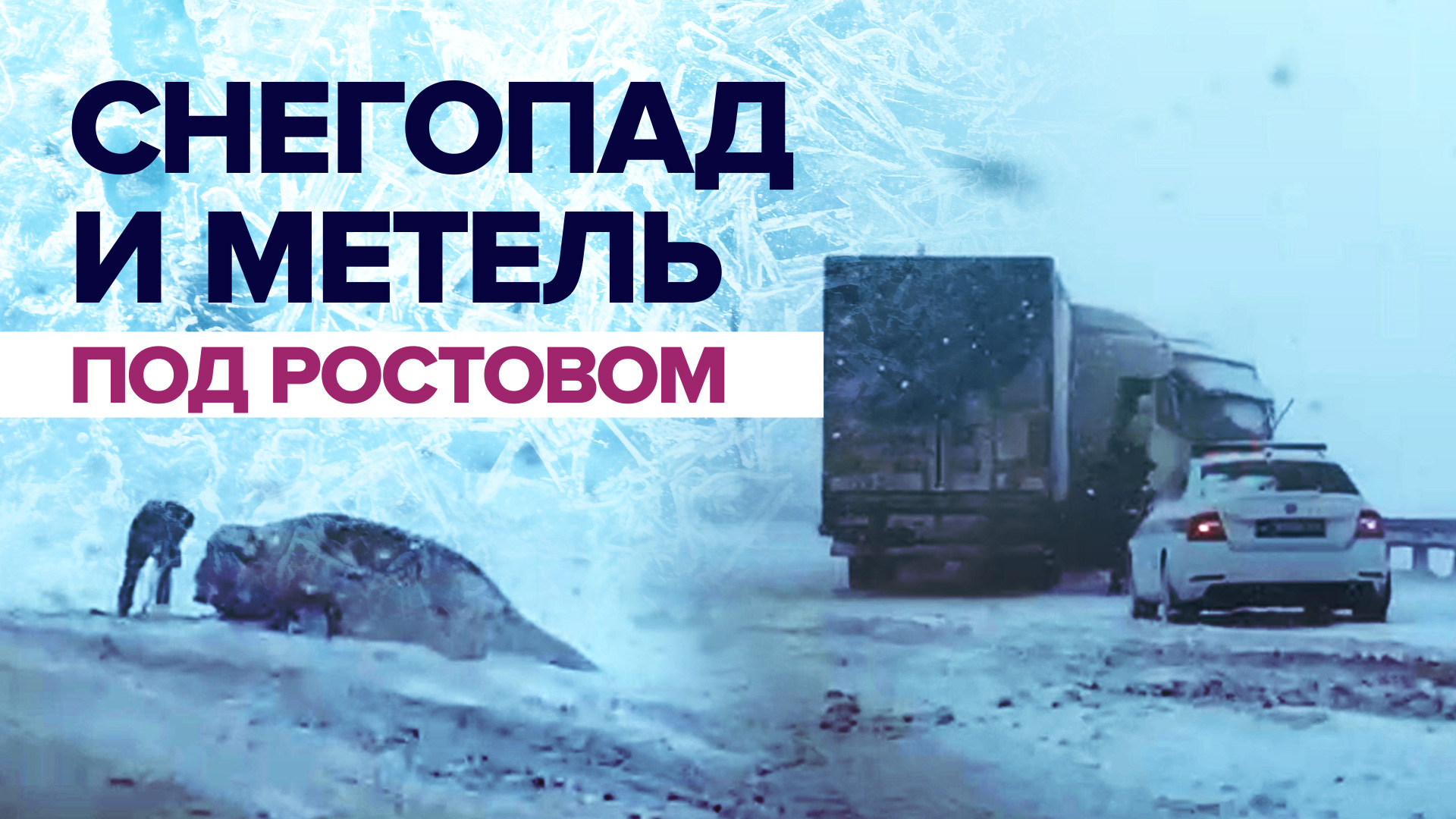 Ростовскую область накрыли снегопад и метель — видео