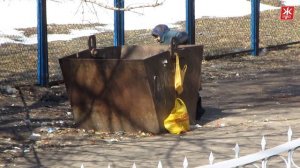 Покращення для житомирских пенсионеров - Житомир.info