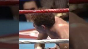 Костя Цзю против Джека Родригеса победа Кости #boxing
