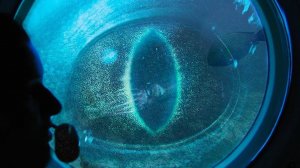 Дайверы Успели Заснять эти Кадры из Затонувшего Титаника