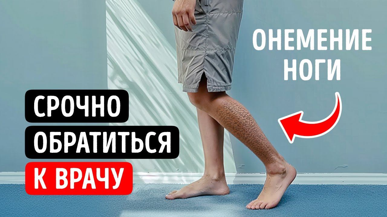 100+ случайных фактов, которые заслуживают поднятых бровей