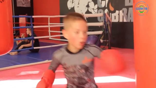 Чемпион мира по кикбоксингу дал мастер-класс в Солнечногорске смотреть онлайн