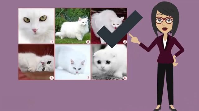 выбери белый. выбери белый. человечек на белом фоне. выбери белый. тест выбери кошку.