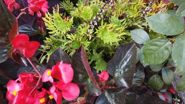 КОЛЕУСЫ ОЛЬГИ САШИНОЙ в сентябре 2019 смотреть онлайн