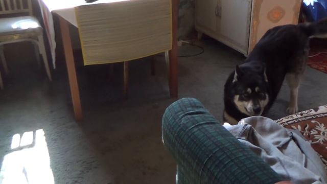 Летом на даче -7 смотреть онлайн