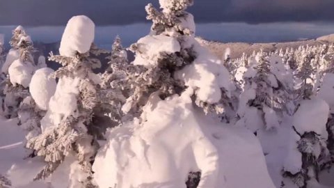 #музыка #любовь #жизнь Ночные грезы - Андрей Вепров