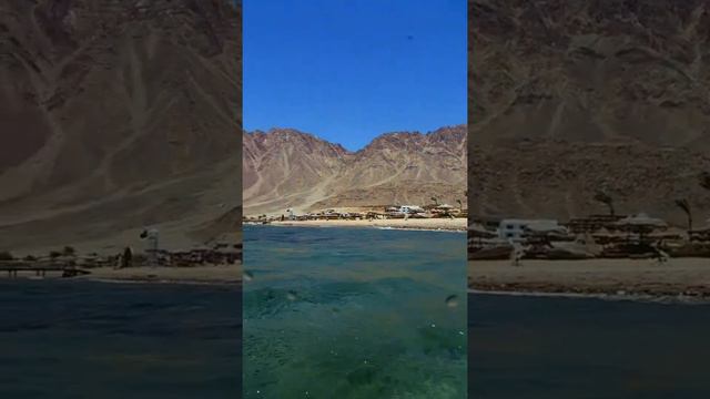 Scuba diving dahab | Sinai Egypt