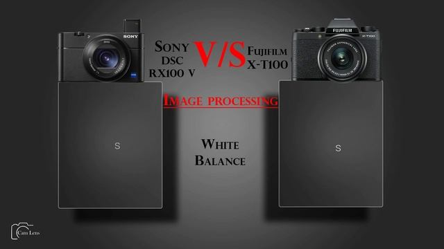 Sony DSC RX100 V vs Fujifilm X T100 смотреть онлайн