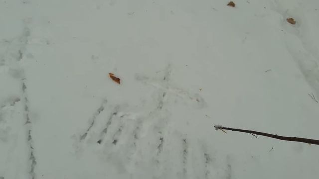 СЕКРЕТ Как стать пастором? Как открыть церковь ? Как создать религию? смотреть онлайн