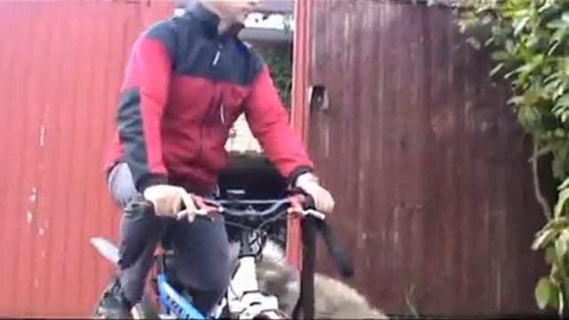 Чиновник движение рядом смотреть онлайн