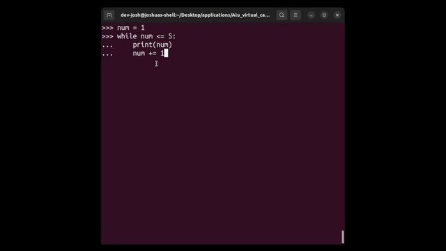 Python While Loop For Beginners смотреть онлайн