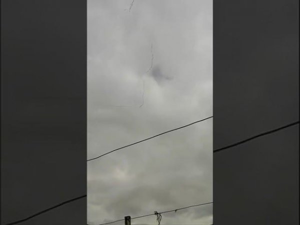 Весна! Гуси летят домой!
