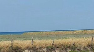 Место, где живут розовые фламинго