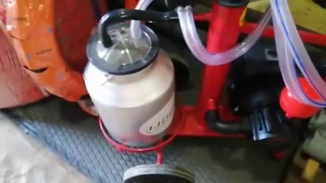 Турецкий доильный аппарат для коров смотреть онлайн