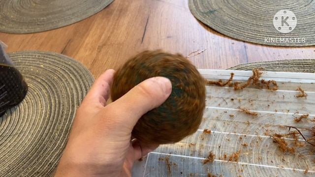 Перезапуск аквариума часть 3. Чистка растений. Делаю вабикусы. смотреть онлайн