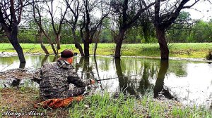 Не рыбалка, а сказка. Удачная рыбалка на поплавок. Бешеный клёв.
