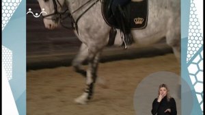 По секрету всему свету. Лошади-2 (сурдоперевод)