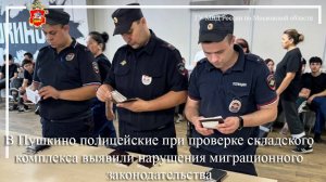 В Пушкино полицейские при проверке склада выявили нарушения миграционного законодательства