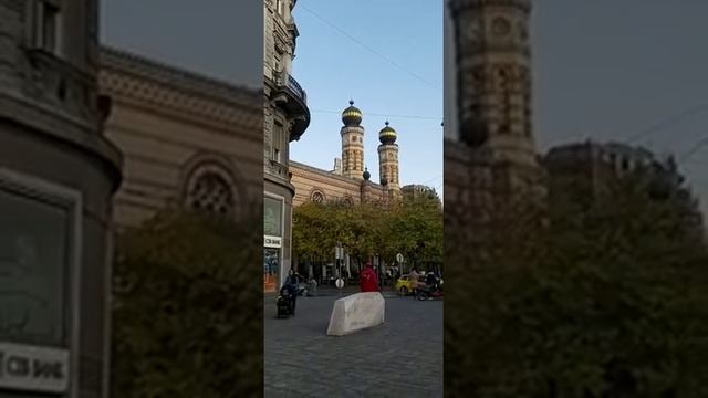 Budapest.Great Synagogue.Будапешт.Дерево гингко билоба.Большая синагога.