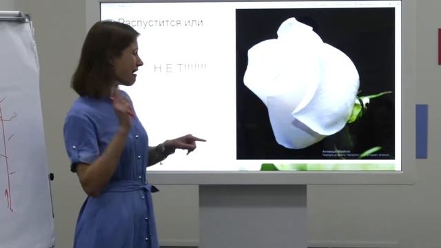 Лекція-бесіда з флористики / Вікторія Александрова / 25.07.2019