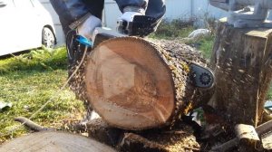 Электропила цепная / СОЮЗ ПЦС-9926 / Пилим ольху 40 см