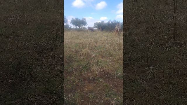 10 de junio de 2023 смотреть онлайн