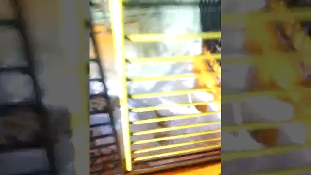 Купила абу семечек:) смотреть онлайн