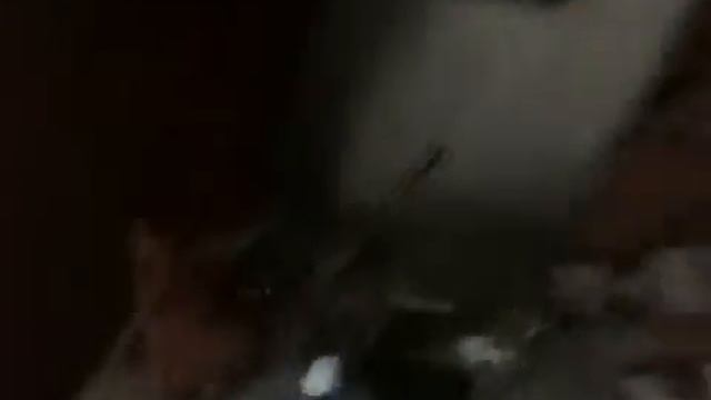 Xquest смотреть онлайн