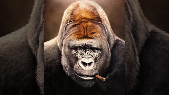 Эту песню ищут все! Бурундуки - Хулиган смотреть онлайн