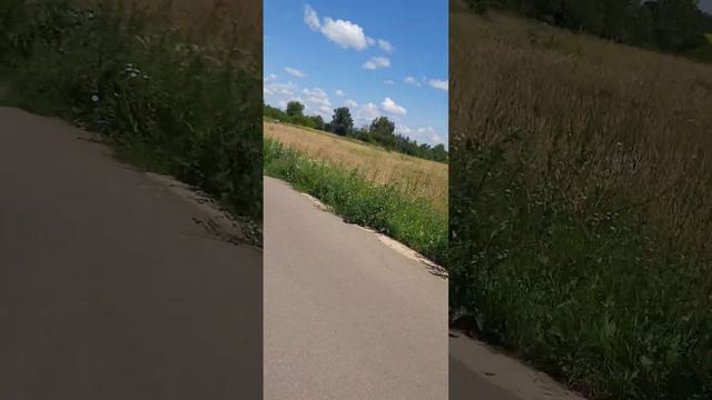 Село Бороздино,Тульская область,Новомосковский район.
