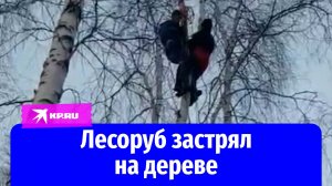 В Иркутской области спасатели сняли лесоруба с высокого дерева