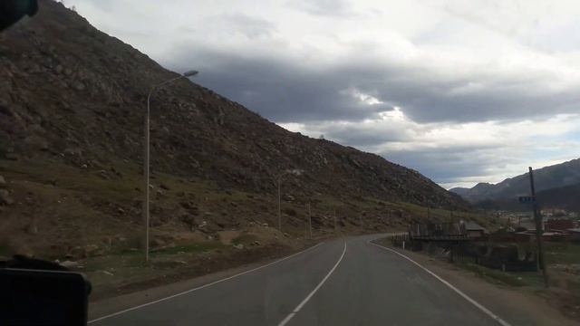 Маральник в Республике Алтай.  Фиолетовые горы. Багульник в Республике Алтай.