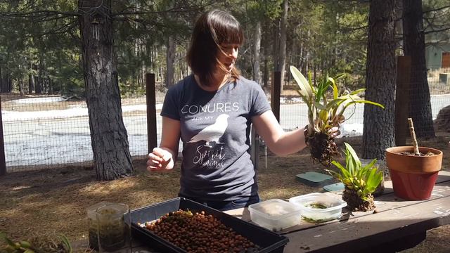 Can't split Semi Hydro. смотреть онлайн