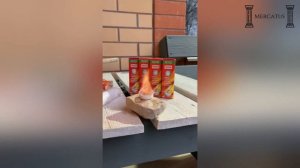 Обзор на сухое горючее в таблетках IMAGE.