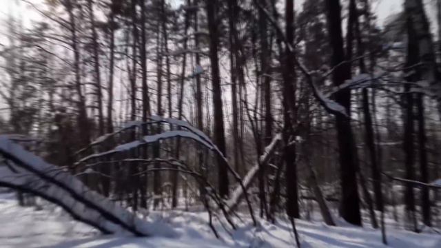 4 марта День Льва Катальщика, что нельзя делать сегодня по народным приметам #приметынасегодня смотреть онлайн