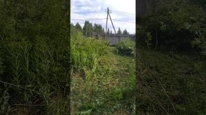 самодельный мульчер в работе третий год