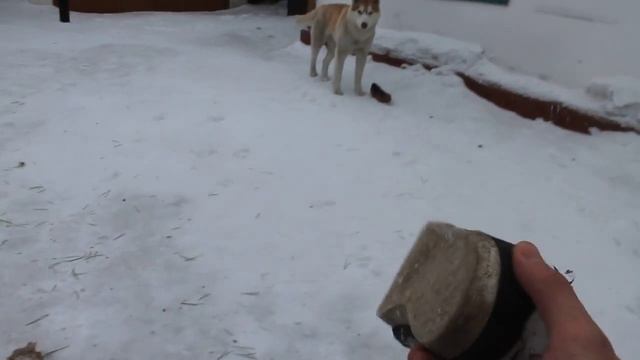 Видео вопрос для канала Вопросы-борбосы