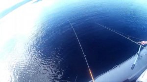 ОКУНЯ-ГОРБАЧИ+ЗУБАСТЫЕ ЩУКИ / СУМАСШЕДШИЙ КЛЕВ НА СЕКРЕТНОМ ОЗЕРЕ С НОЧЛЕГОМ В ИЗБЕ (часть 1)