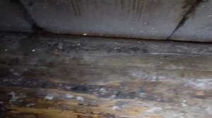 Дом в деревне Сысоево