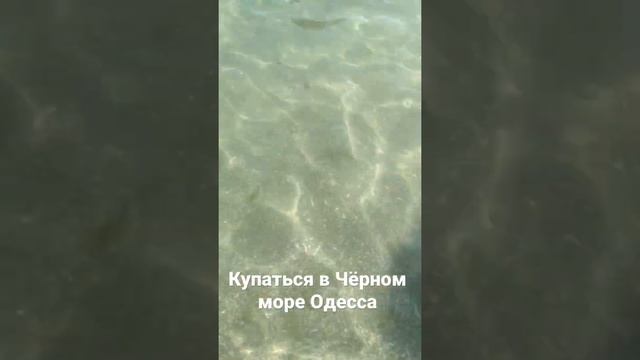 Купаться в Чёрном море, город Одесса. Deaf